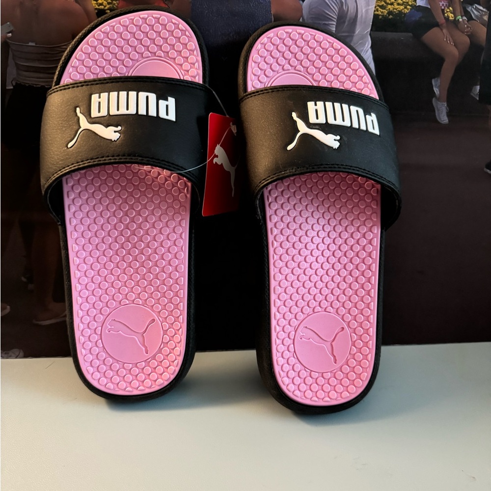 Puma slides